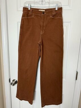 Madewell Emmett Wide-Leg Pant in the Clifftop Brown garment-dyed Size 28